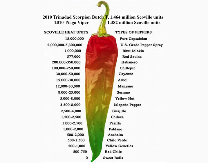 how many scoville units is the chip challenge