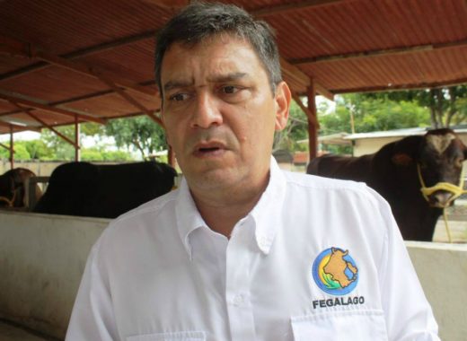 Armando Chacín, presidente de Fedenaga. Foto: Diario El Tiempo