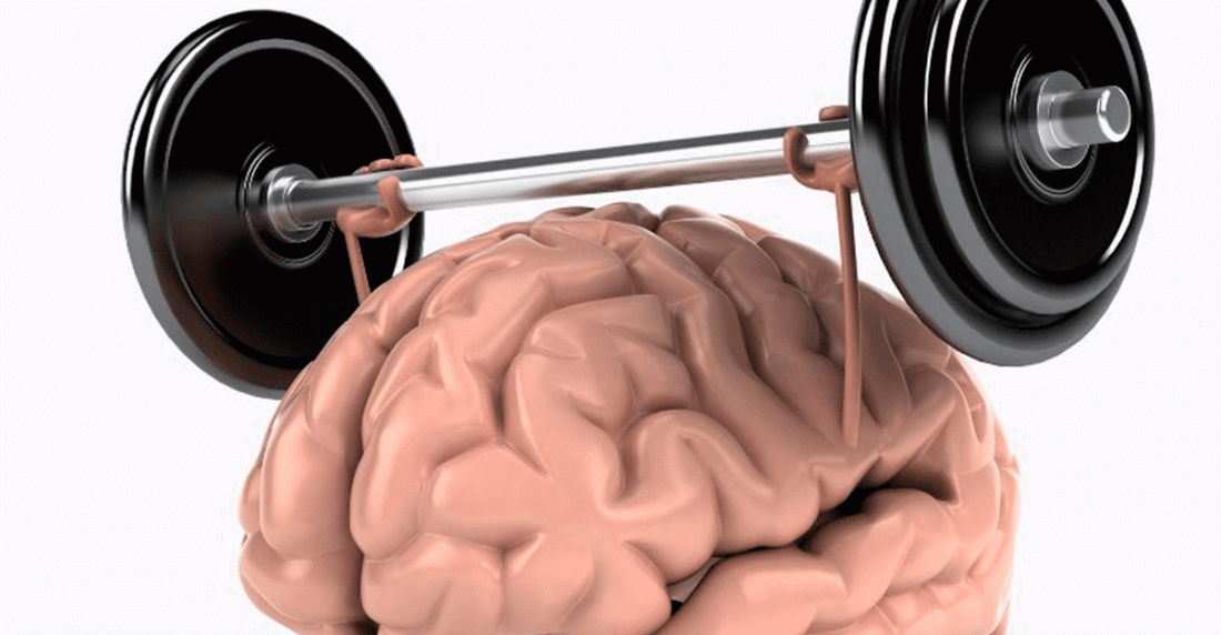 Educa el cerebro de tus hijos y aprovecha la neuroplasticidad - Entrevista