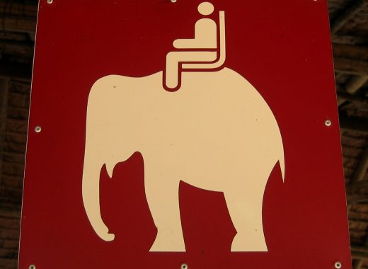turismo de elefantes