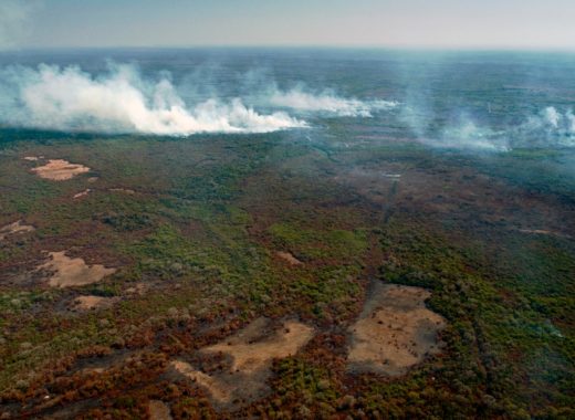 El enorme Pantanal de Brasil es destruido por incendios sin freno
