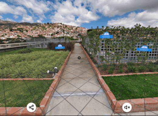 El techo verde de la UCAB recibe visitas virtuales