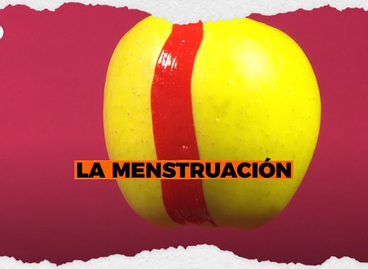 Todo lo que necesitas saber de la menstruación