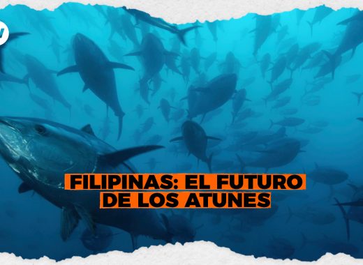 Filipinas: El futuro de los atunes
