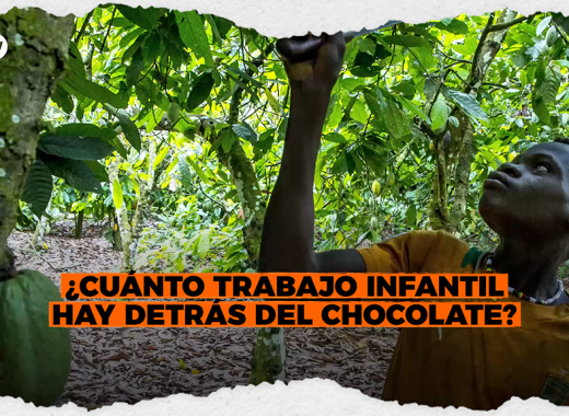 ¿Cuánto trabajo infantil hay detrás del chocolate?