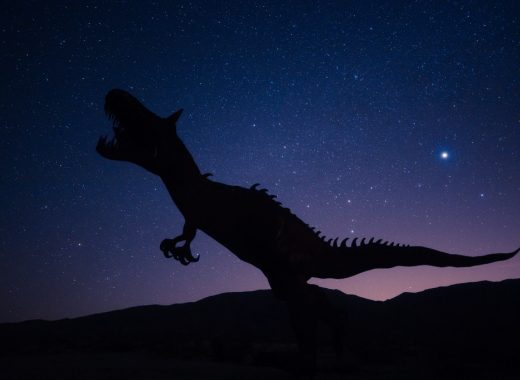 ¿Cuántos tiranosaurios rex hubo en la Tierra? Unos 2.500 millones