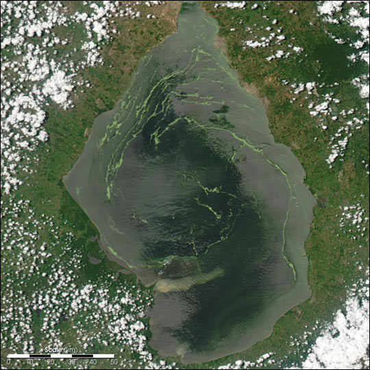 NASA muestra agonía del Lago de Maracaibo entre derrames de petróleo y algas