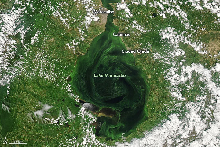 NASA muestra agonía del Lago de Maracaibo entre derrames de petróleo y algas