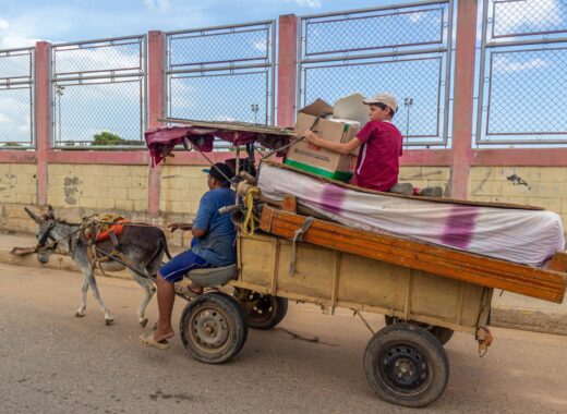 Transportes en burro: así es el negocio en Maracaibo