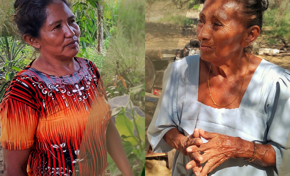 Ounushin y Nawieba: cuando los indígenas jivi y wayuu dejan su territorio