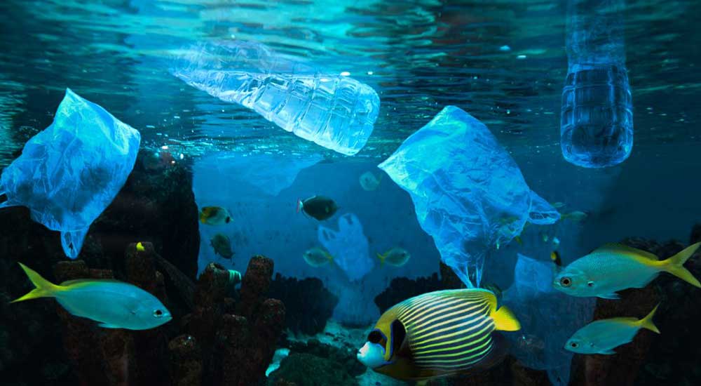 Plásticos ahogan a los mares