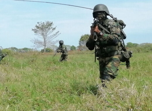 Tres batallones de la FANB vigilan frontera en Apure