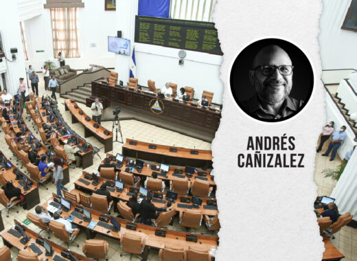 Nicaragua: Las ONG como problema para una dictadura