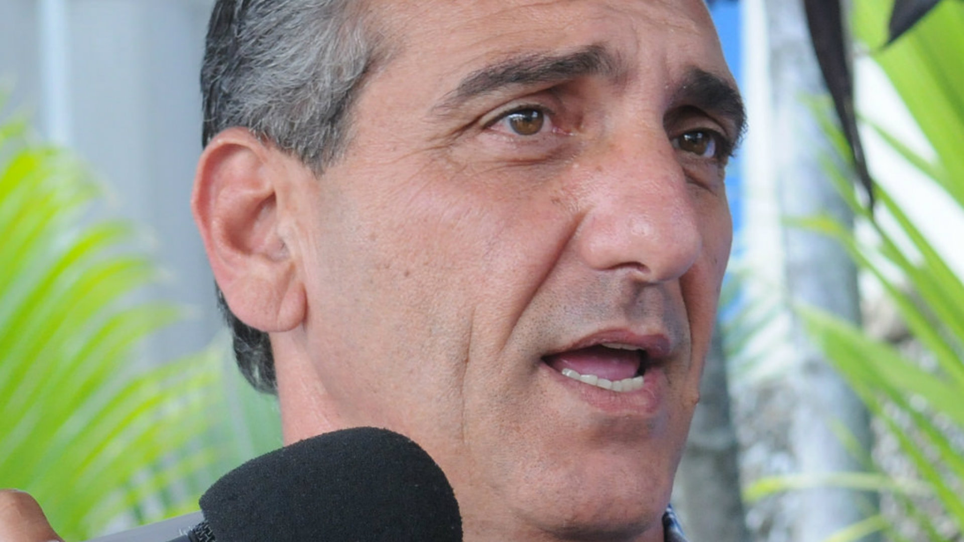 Carabobo elecciones gobernación