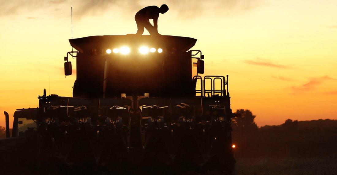 Alimentos como el maíz suben por guerra en Ucrania