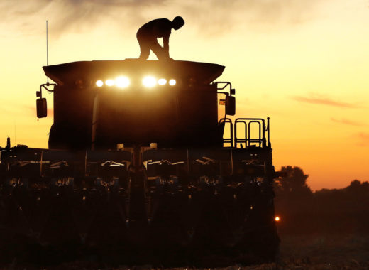 Alimentos como el maíz suben por guerra en Ucrania