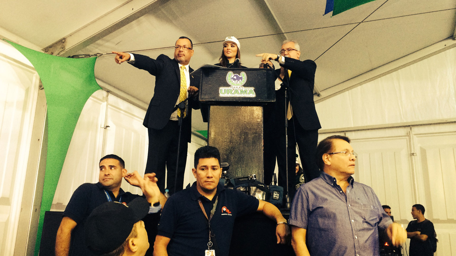 Caballos3