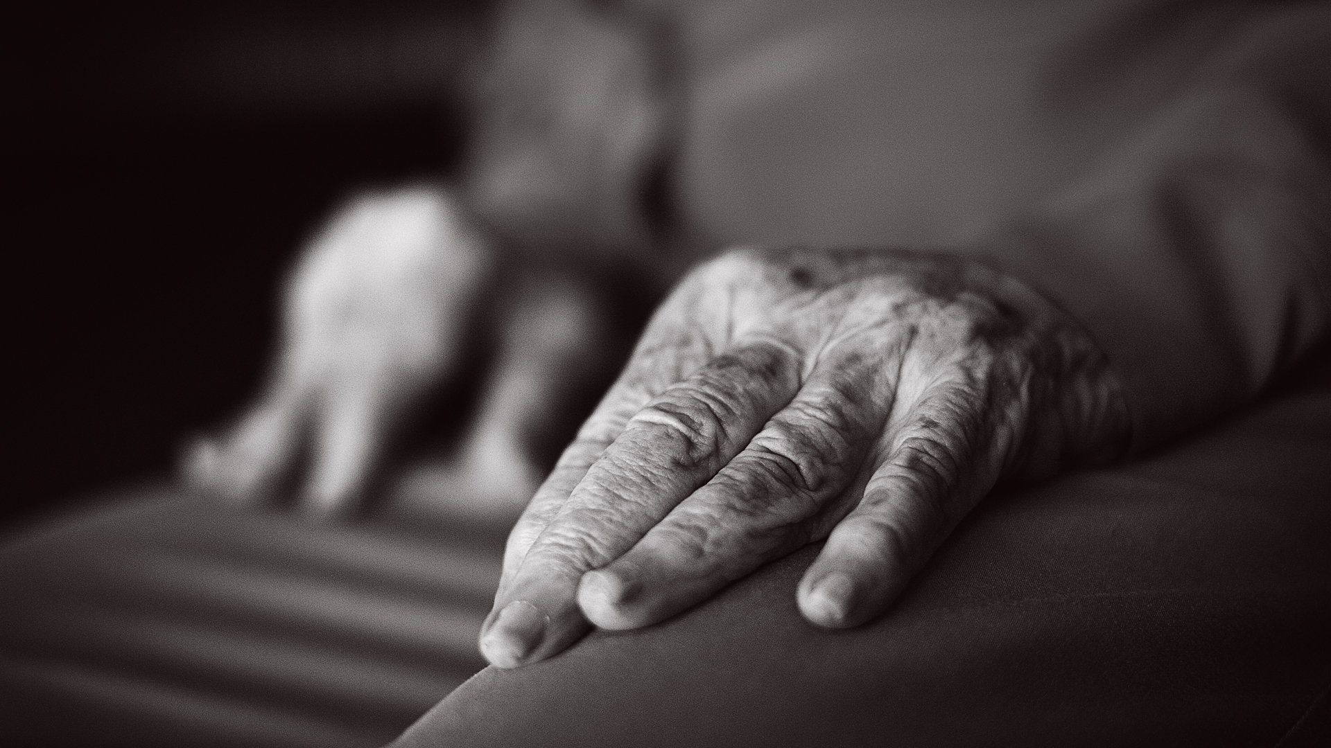 Sofia Imber Manos Climax