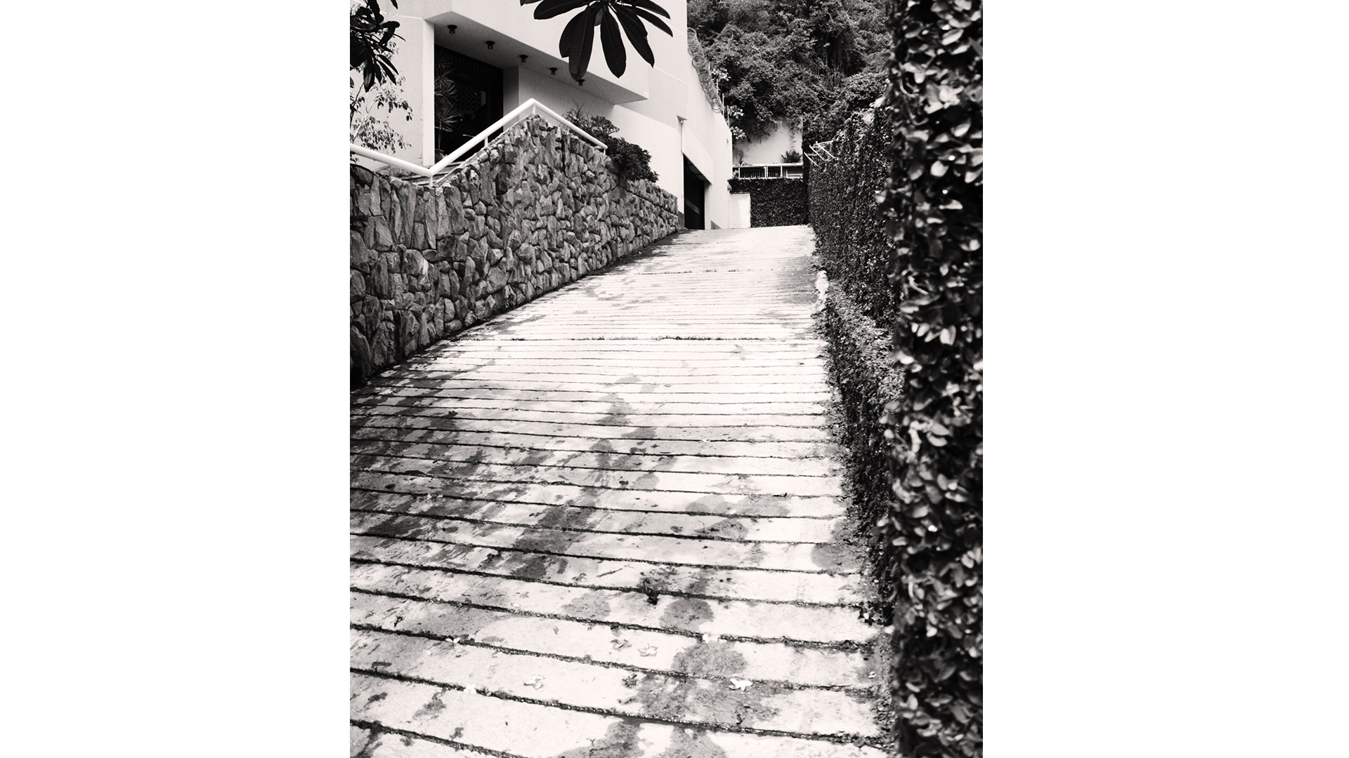 delgado-chalbaud-clímax-5