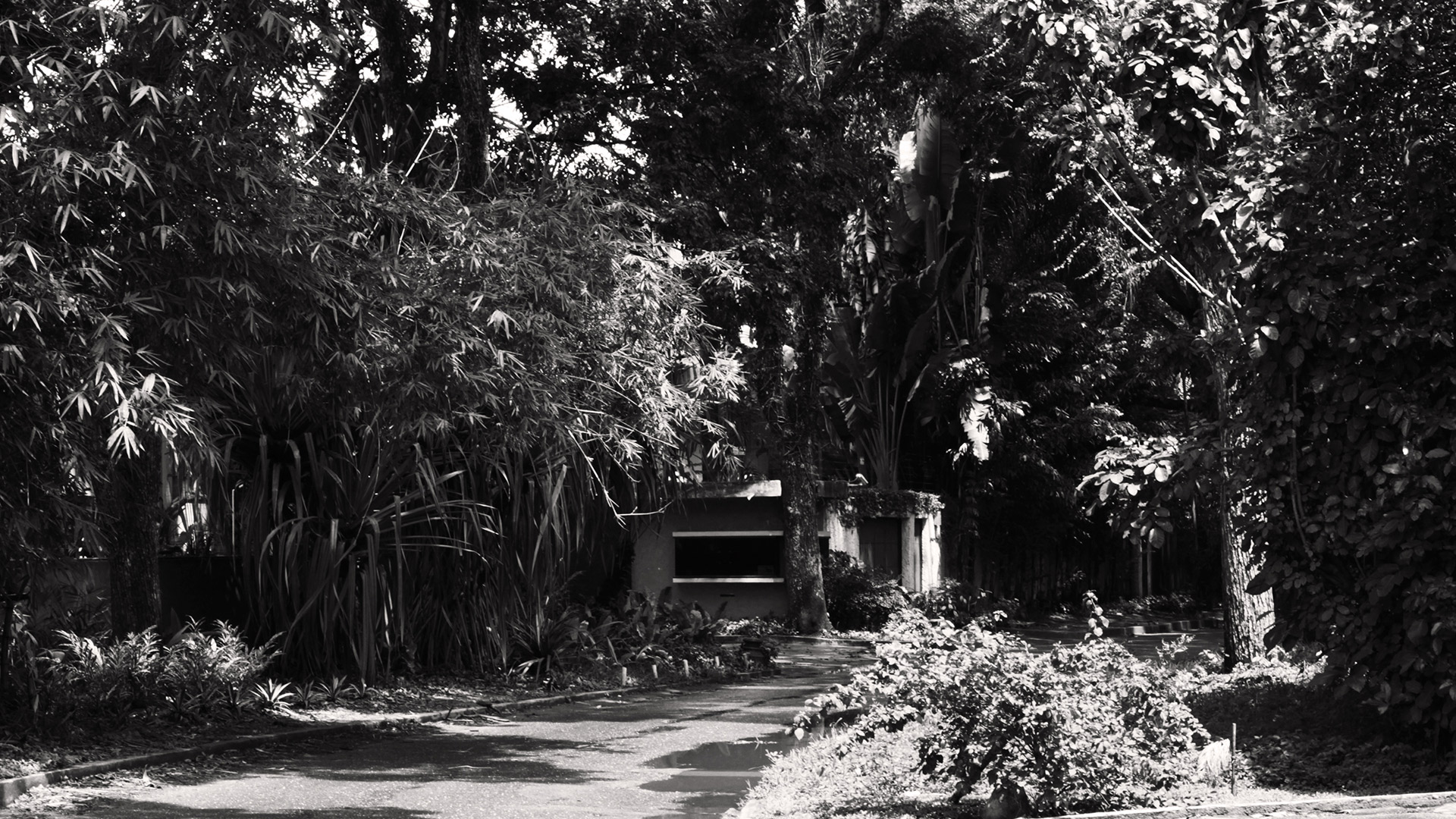 delgado-chalbaud-clímax3