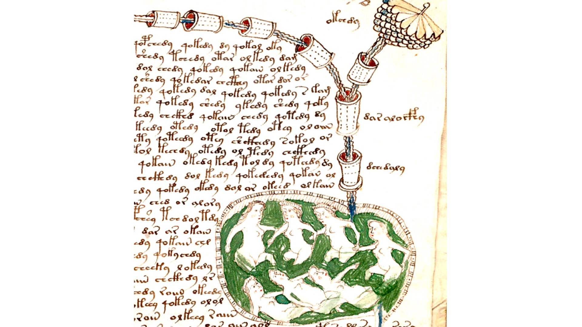 Voynich2