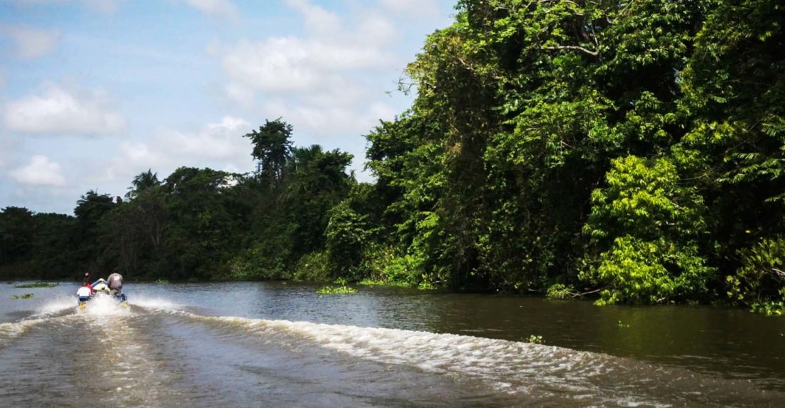 rio orinoco