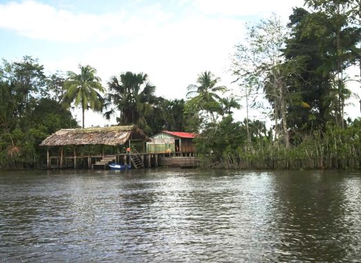 río orinoco