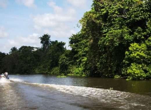 rio orinoco