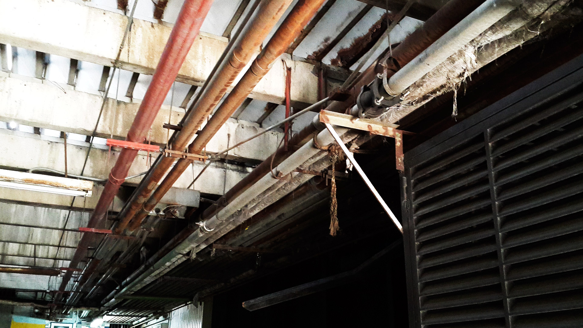 parque-central-clímax-4