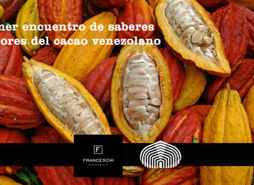 primer encuentro de saberes y sabores del cacao venezolano, universidad simon bolivar, chocolate franceschi