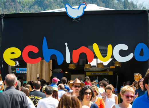 echinuco, chile, productores artesanales, chile