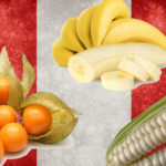 Perú, potencia, alimentos ecológicos