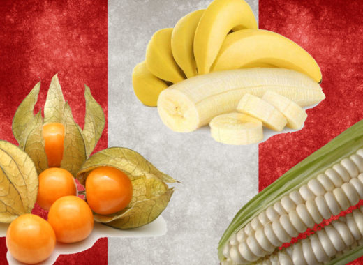 Perú, potencia, alimentos ecológicos