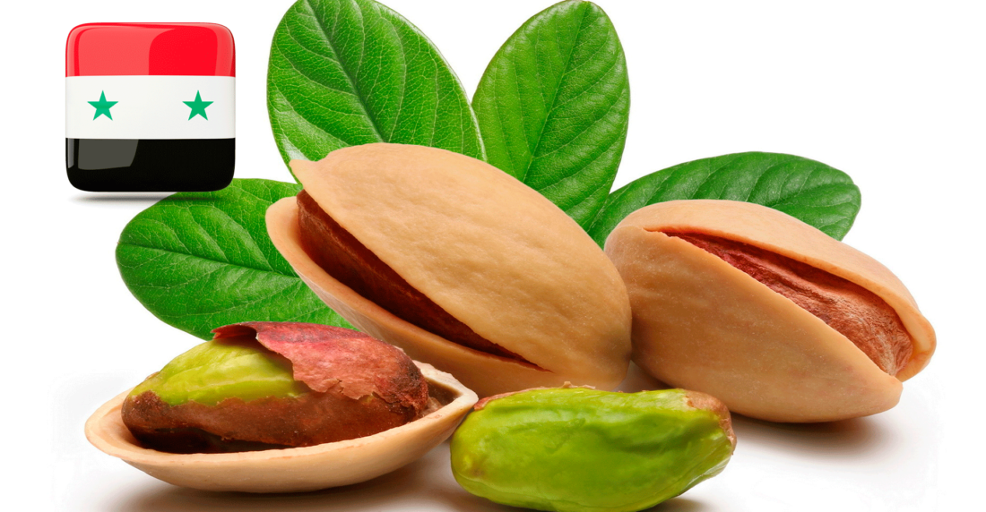 pistacho, pistachio, siria, syria, guerra, war