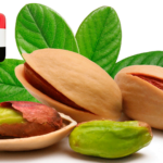 pistacho, pistachio, siria, syria, guerra, war