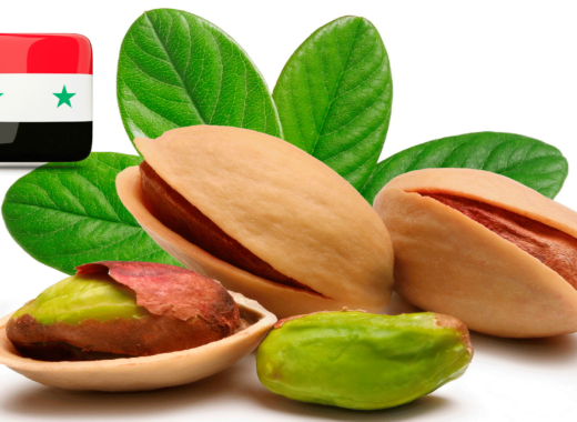 pistacho, pistachio, siria, syria, guerra, war