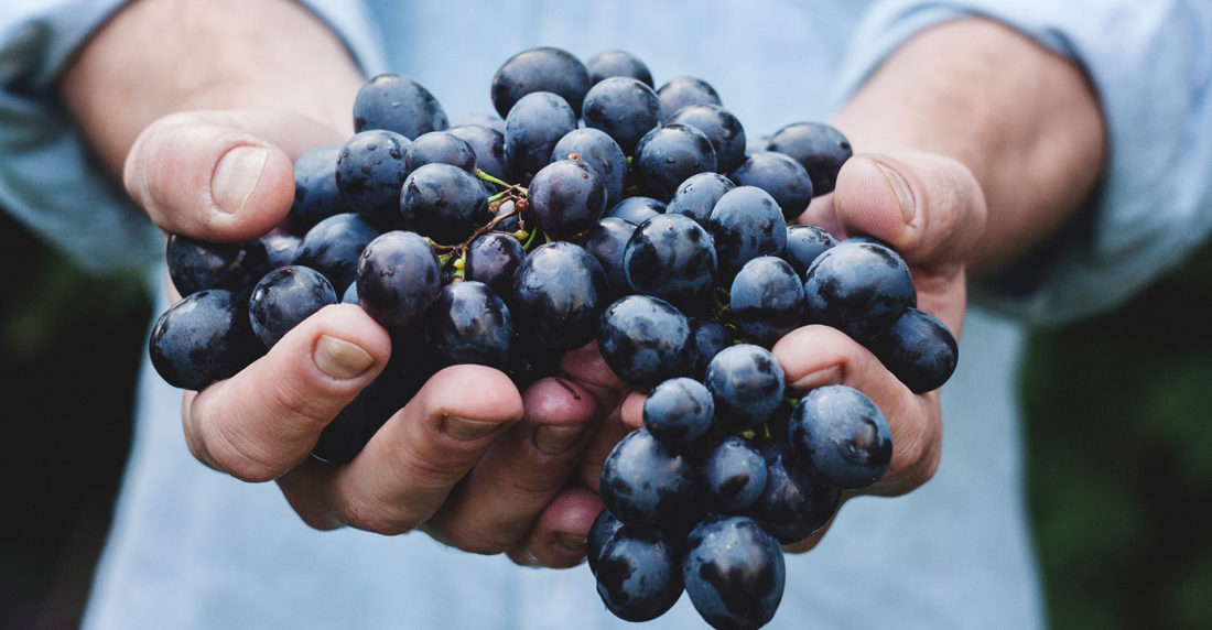 uvas, china, terroir