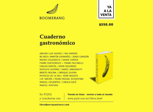 boomerang, enrique olvera, pujol, libro
