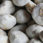 papa, mercado peruano, cocina peruana