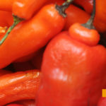 aji peruano, cocina peruana, mercado peruano