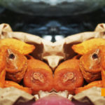 chicharrón, caracas, mercado peruano, cocina peruana