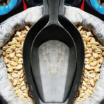 chocolos, mercado peruano, cocina peruana