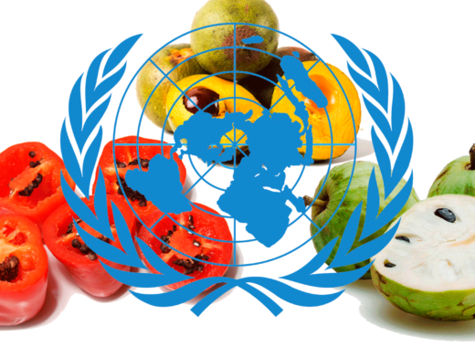 onu, perú, rocoto, miguel alonso