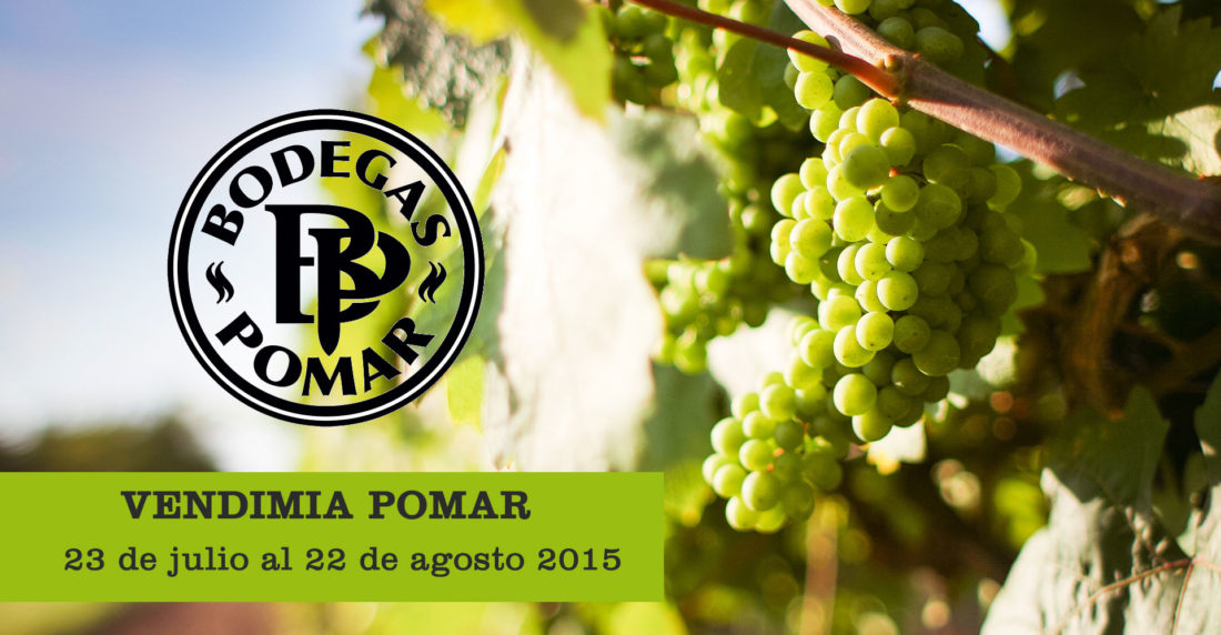 vendimia, bodegas pomar, agosto, carora, venezuela