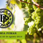 vendimia, bodegas pomar, agosto, carora, venezuela