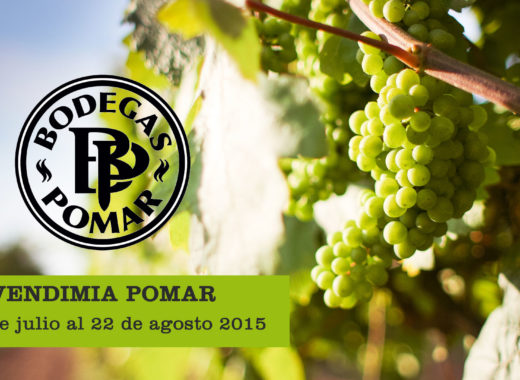 vendimia, bodegas pomar, agosto, carora, venezuela