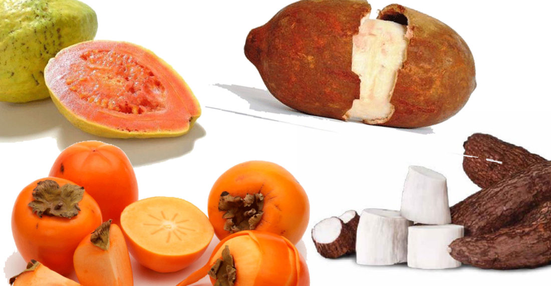 cocina de fronteras, amazonas, venezuela, colombia, brasil