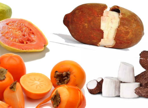 cocina de fronteras, amazonas, venezuela, colombia, brasil