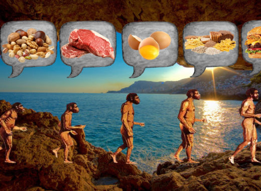 evolución_alimentos
