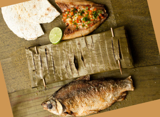 patrick dolande, amazonas